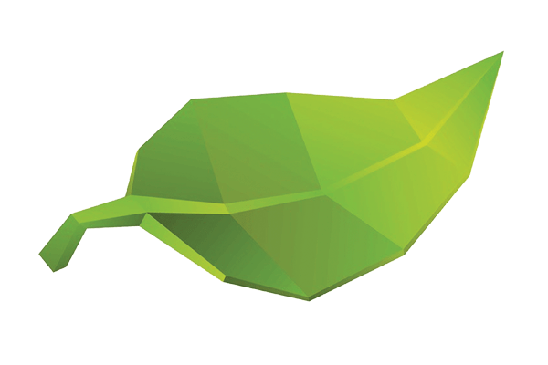 WENDE DAS BLATT